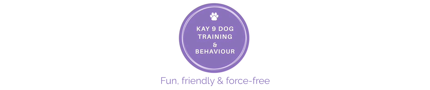 Kay 9 Dog Training