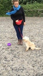 Kay 9 Dog Training - Novice Class